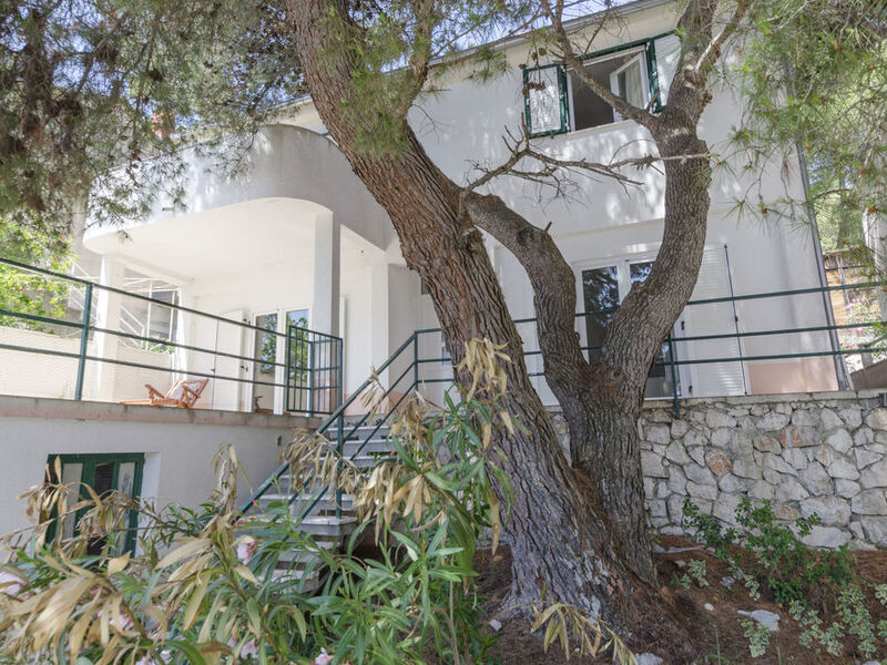 Apartmány 1355-2109