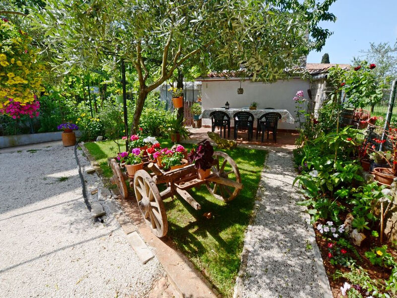 Apartmány 1355-2229
