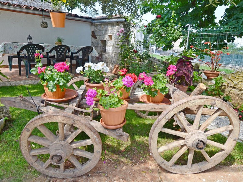 Apartmány 1355-2229