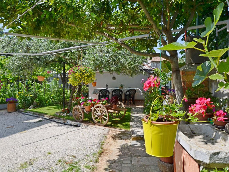 Apartmány 1355-2229