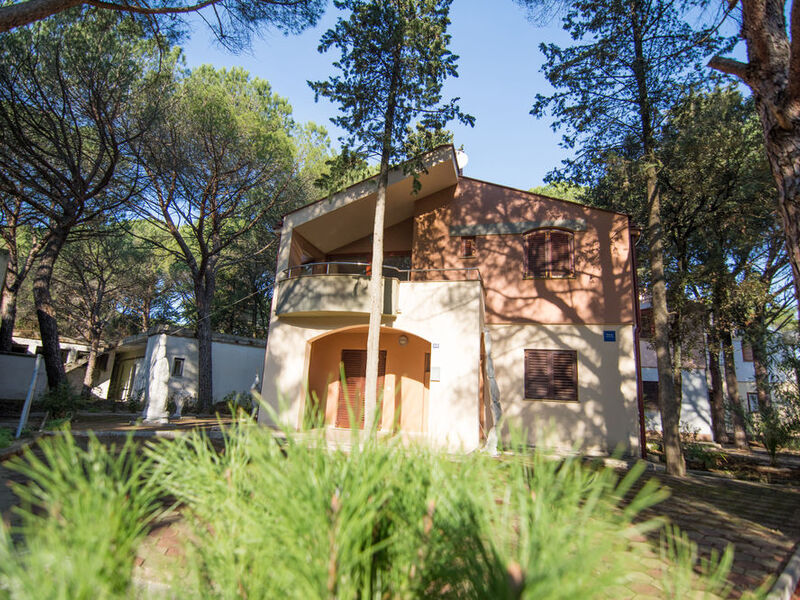 Apartmány 1355-3055