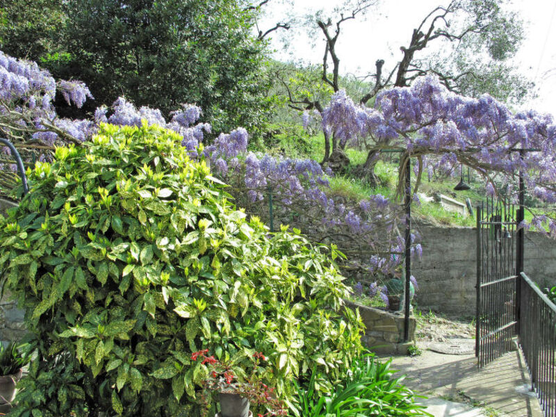 Casa Dei Nonni
