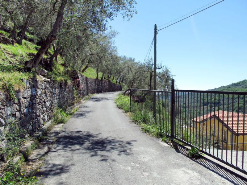 Adriana - Residenza Clara