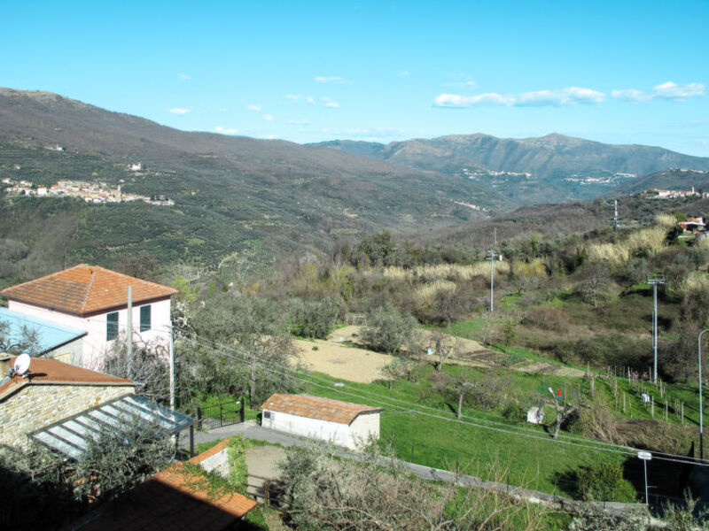 Fontanelle