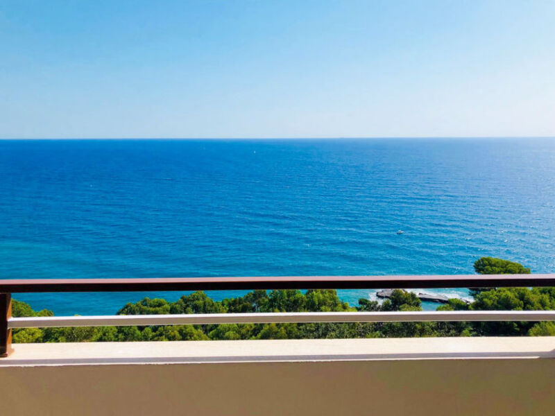Capo Mimosa