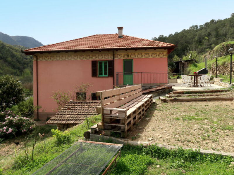 Oasi Colorata