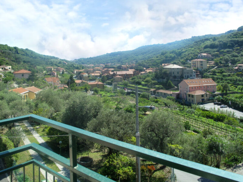 Bonora