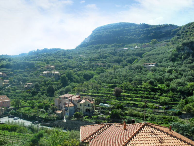 Bonora