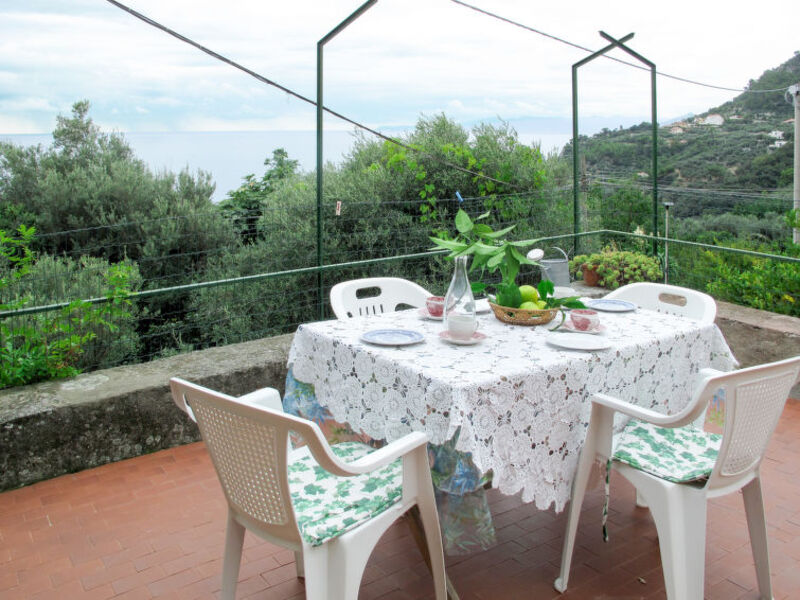 La Selva