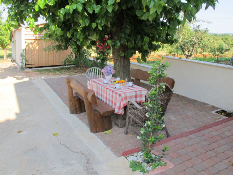 Pinia I