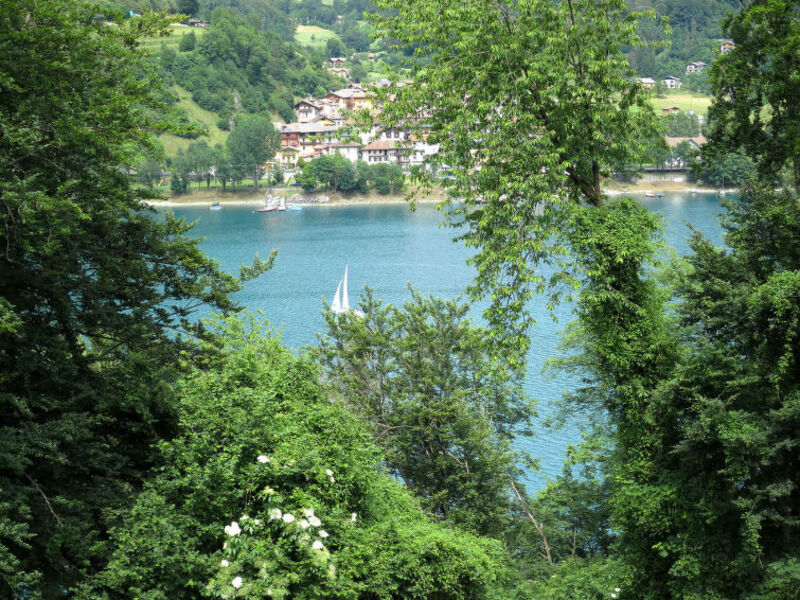 Residence Panorama
