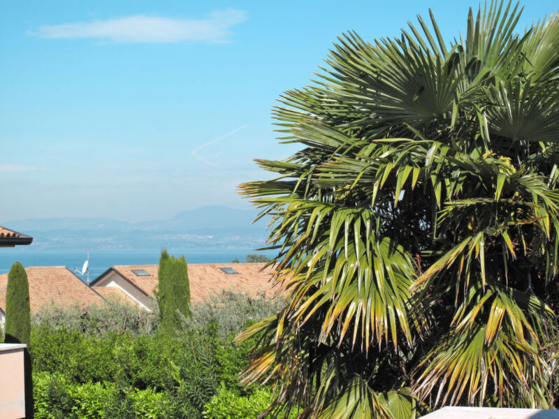 Barum Garden