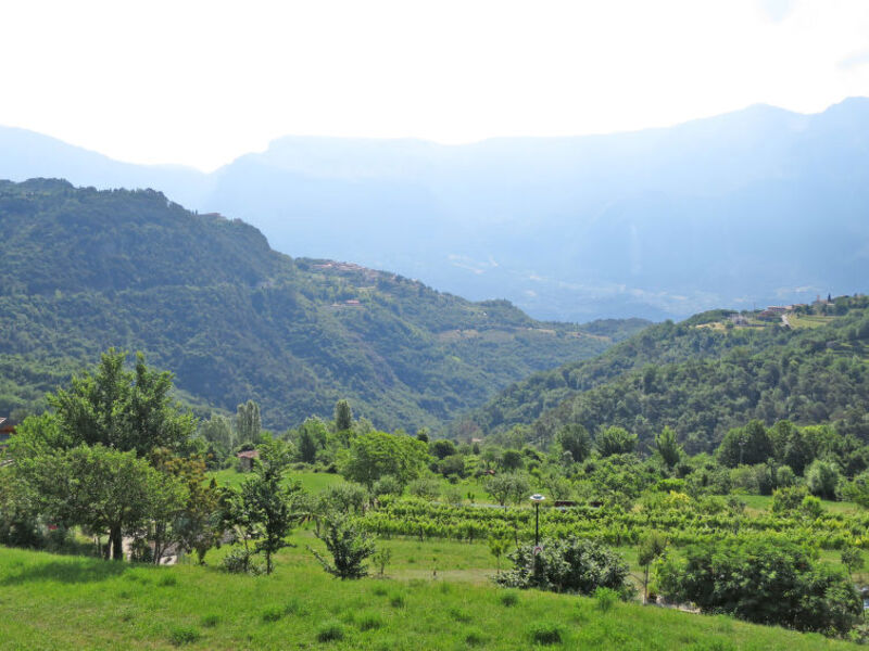 Fattoria La Tartufaia