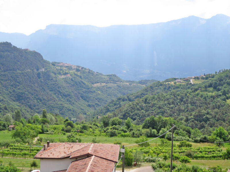 Fattoria La Tartufaia