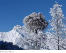 Ferienhotel Alber Tauernhof - Liftpass inklusive