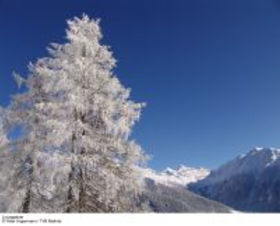 Ferienhotels Alber - Liftpass inklusive