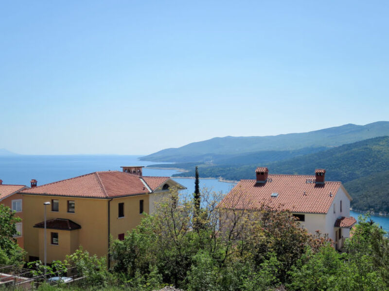 Orhideja