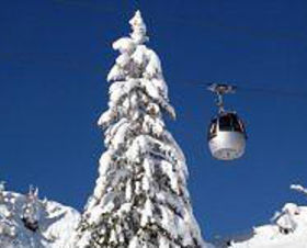 Alm Resort Nassfeld