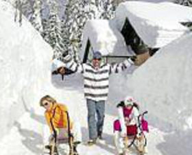 Alm Resort Nassfeld