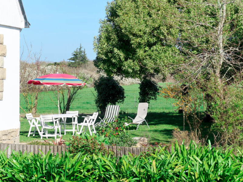 Les Agapanthes