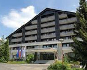 Hotel SAVICA