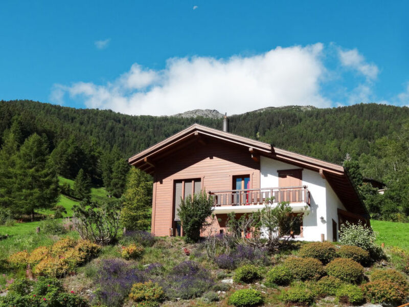 La Marmotte