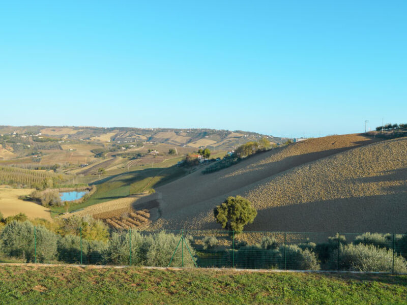 La Corte Di Melina