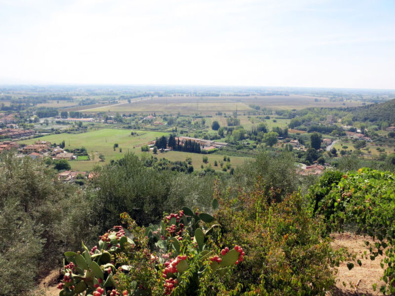 Casa L'Uccelliera