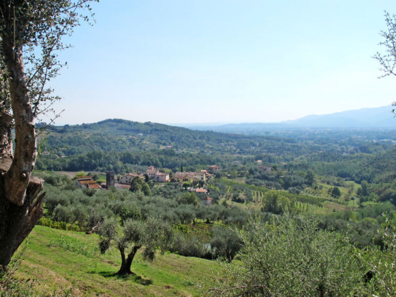 Casa Arsina
