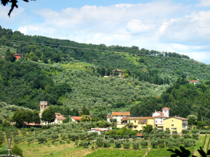 Casa Arsina