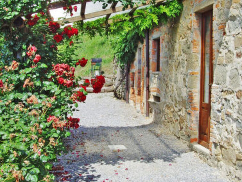 Fattoria Di Pietrabuona