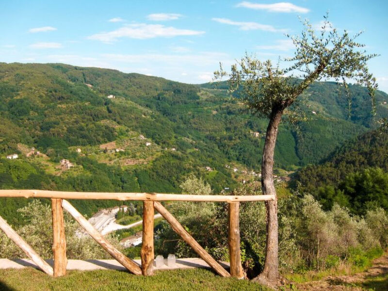 Fattoria Di Pietrabuona