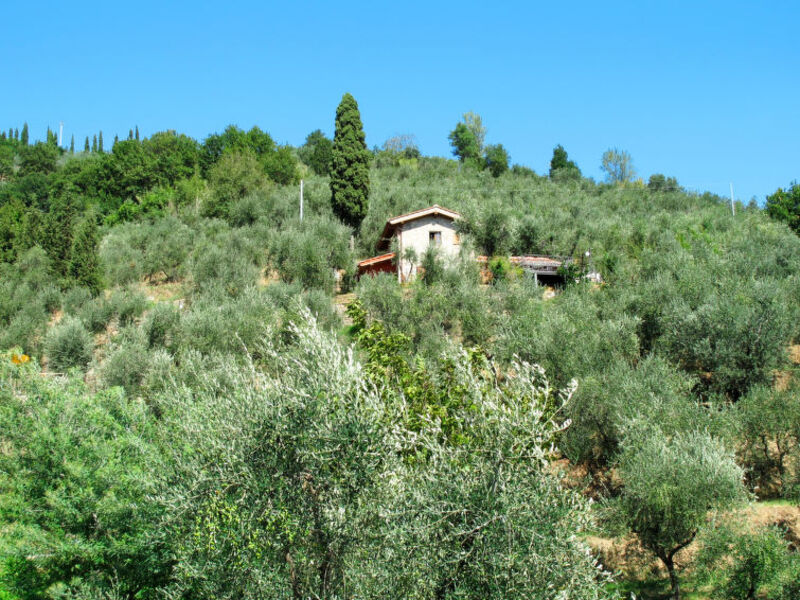 Casa Di Iacopo