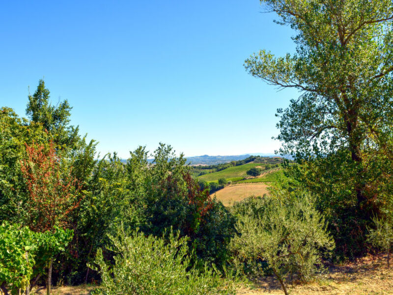 La Porta