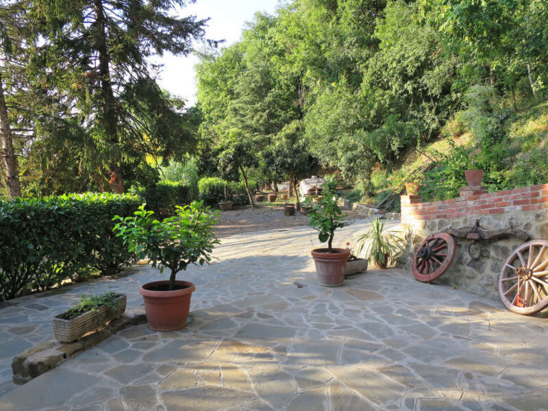 L'Orlo Del Bosco