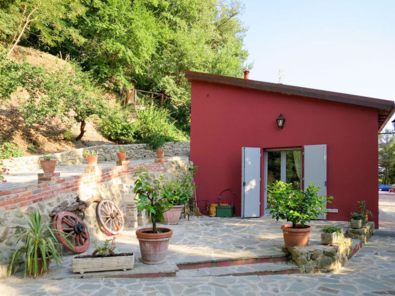 L'Orlo Del Bosco