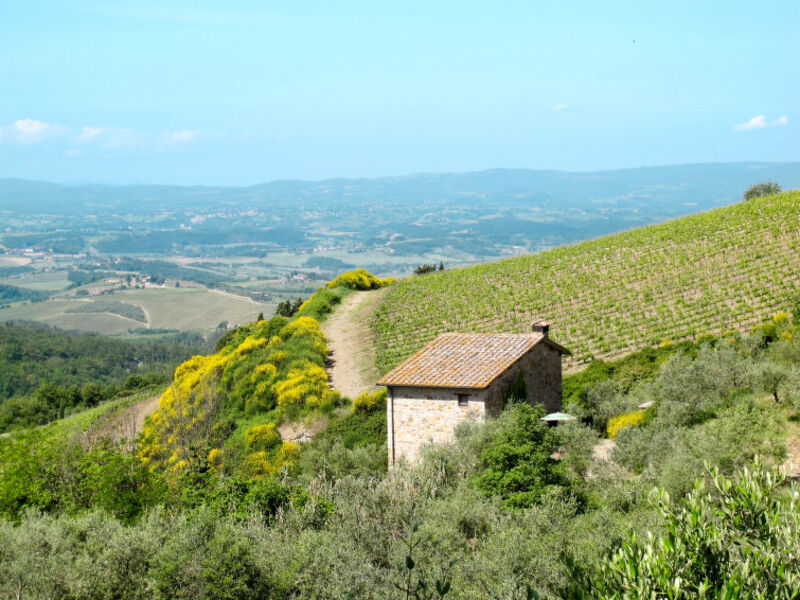 Podere Cellole