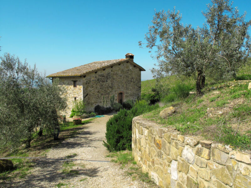 Podere Cellole
