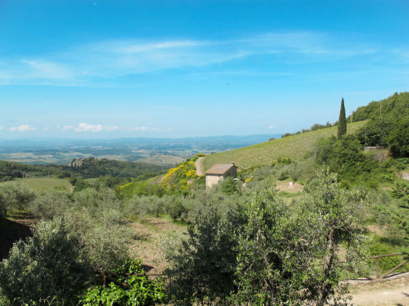 Podere Cellole