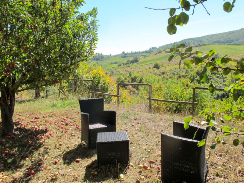 Podere Le Sodole