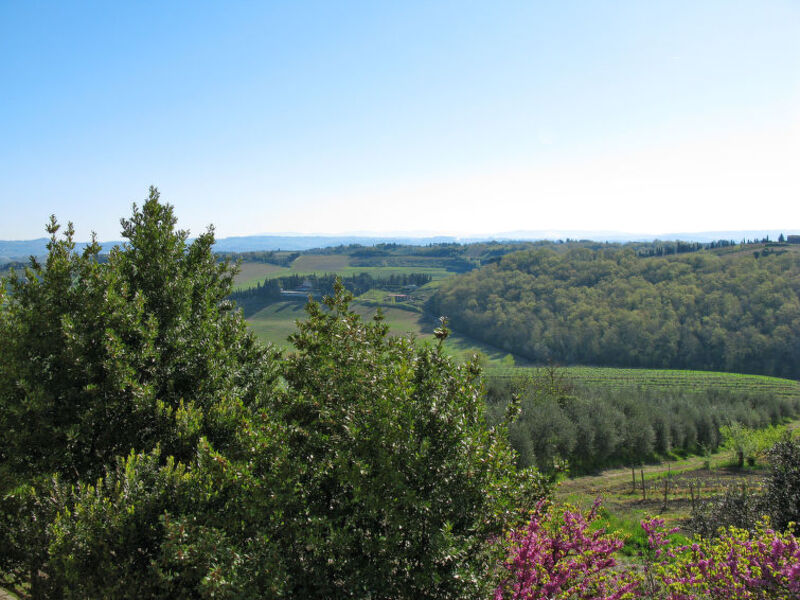 Casa Alle Vacche