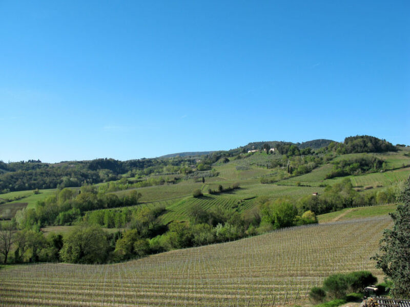 Casa Alle Vacche