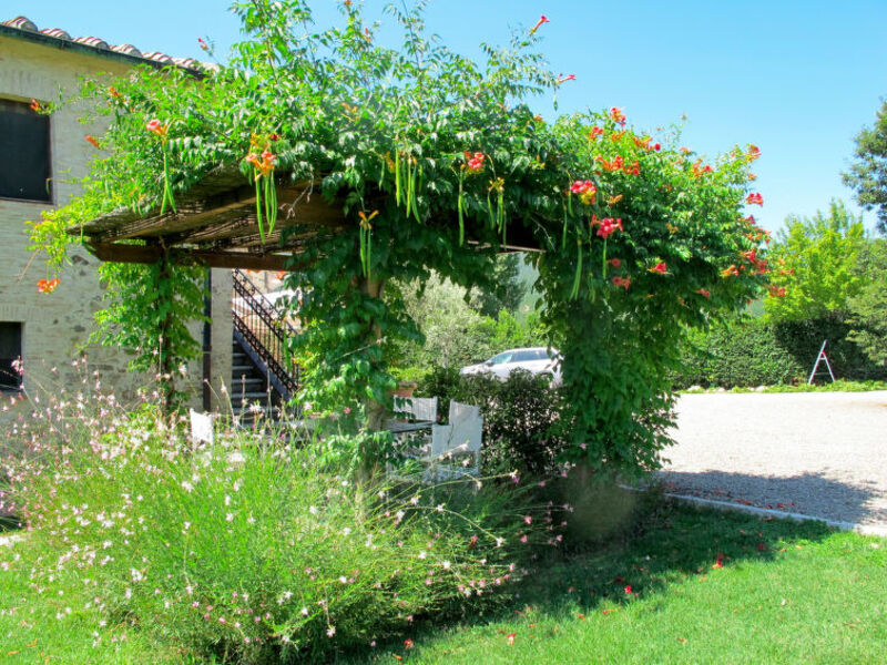 Agriturismo Piettorri