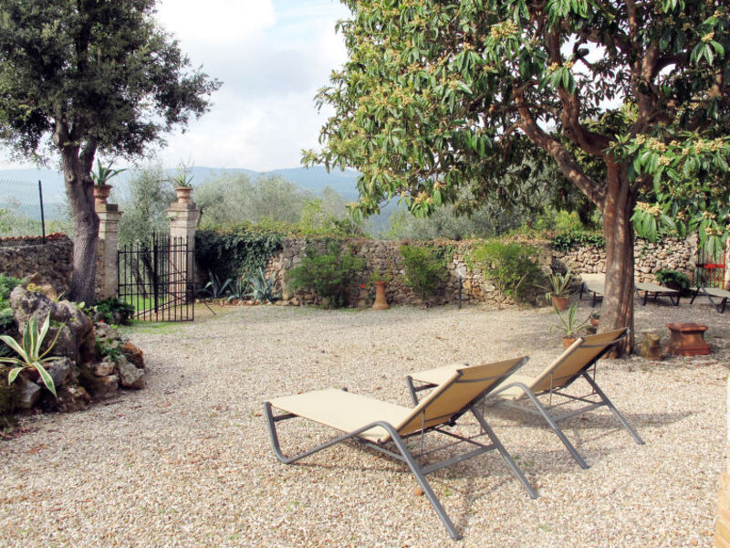 Il Triangolo