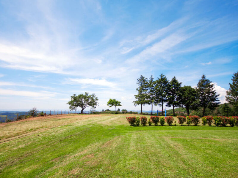 Azienda Agricola Montelucci