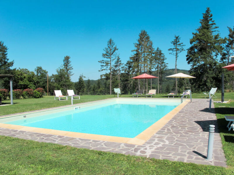 Azienda Agricola Montelucci