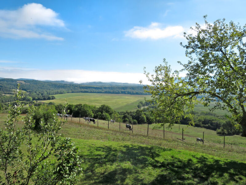Fattoria Il Santo