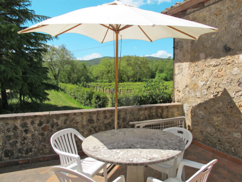 Fattoria Petraglia