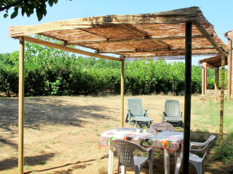 Fattoria Petraglia