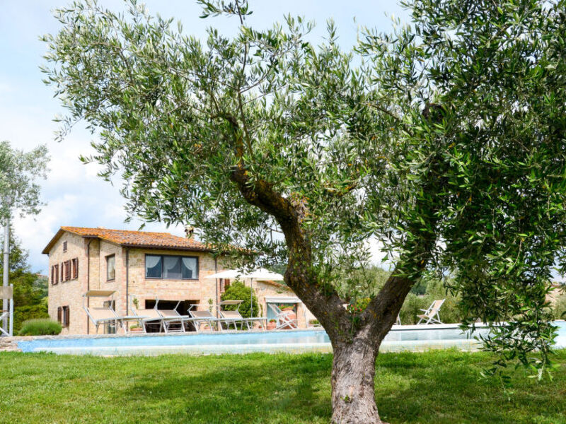 Ferienwohnung Mit Pool